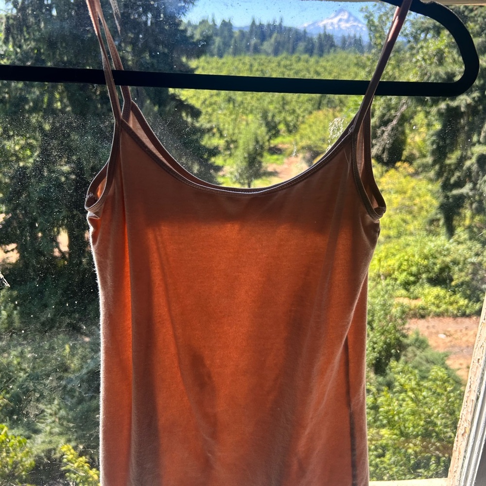 Target Women's Brown Camisole
